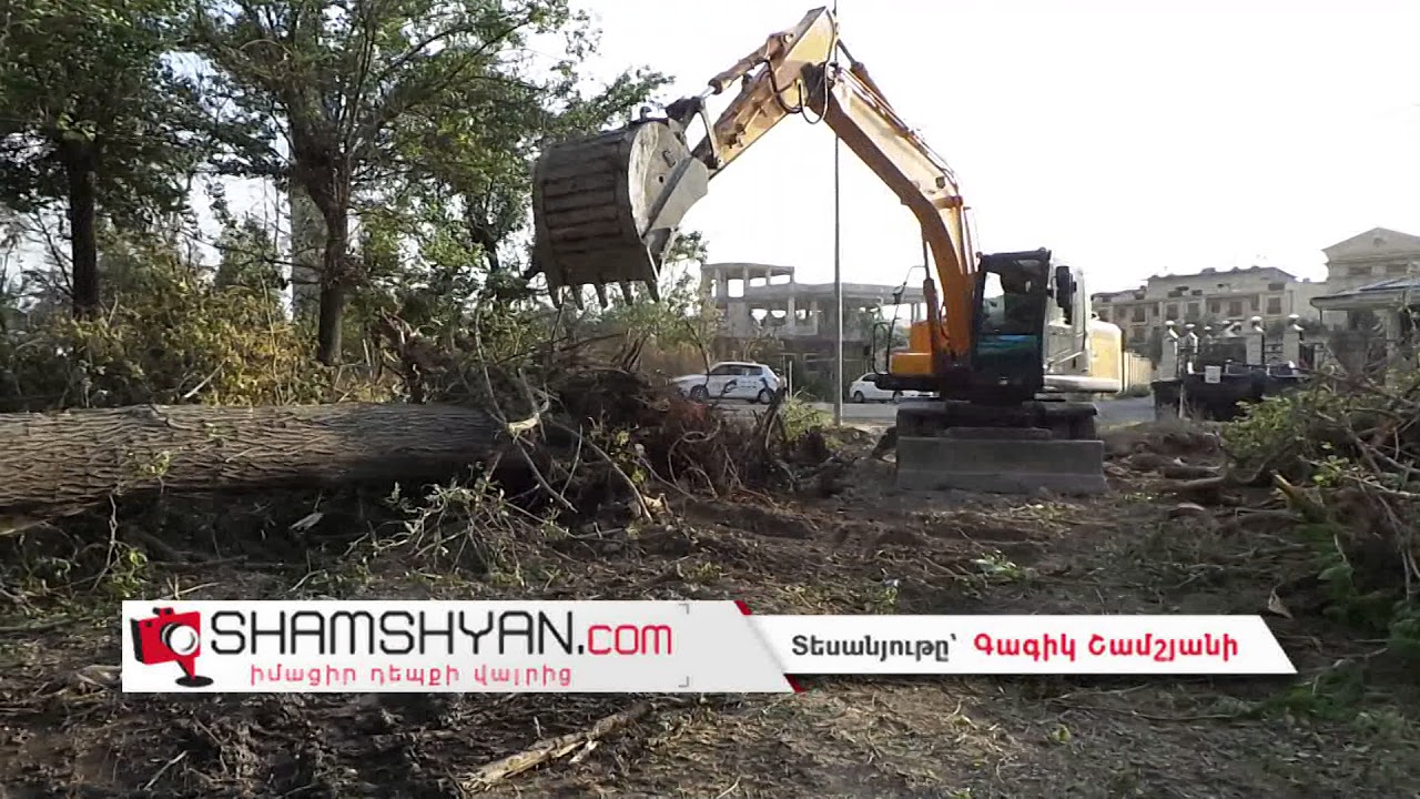 Ծառերի համատարած սպանդ Երևանում