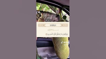 احترم القرآن الكريم يا صديقي وانشره فالدال على الخير كفاعله #احترم_القرآن #احترم #آيات #انشرو_القران