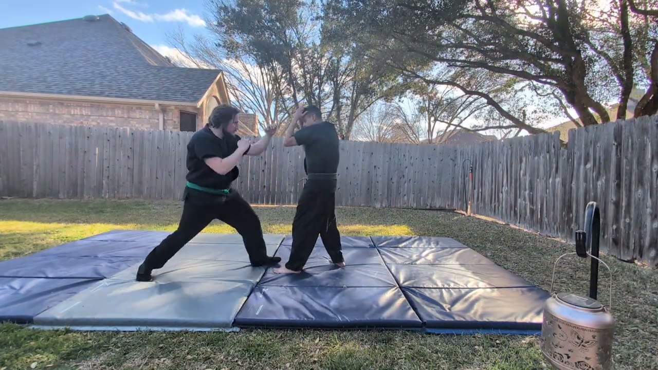 Submission Forearm Strike, 25 撈 Lao Leg Seizing, 24 墬Zhui Sticking Drop, Ankle Lock