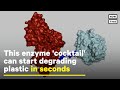 Enzyme 'Cocktail' Begins Breaking Down Plastic in Just Minutes | NowThis Earth