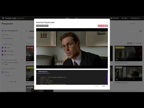 Twelve Labs demo video