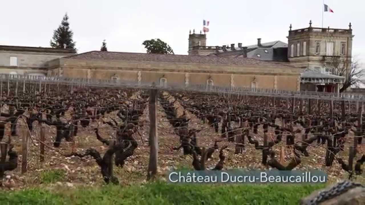 GVWM tastes 2012 Bordeaux at the Union des Grands Crus