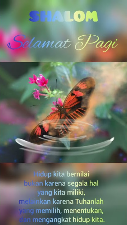 Story wa Rohani Kristen 30 detik || Selamat Pagi