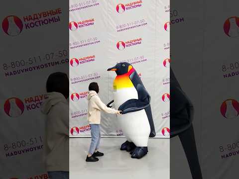 Надувной костюм Пингвина под заказ от производителя 🐧#пингвины#костюмпингвина#надувныекостюмы#shorts