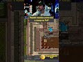 RUBINI EXPLICANDO O ANTIGO SISTEMA DE PVP DE SWAP NO TIBIA #rubini #tibiaold