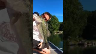 Lake was Hype this morning! #shorts #fun #fishing #bassfishing #fish #lake #outdoors #funny