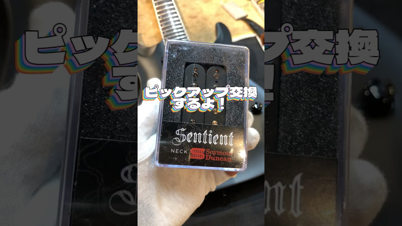 GrassRoots G-HORIZON ピックアップ交換 #shorts #guitar - YouTube