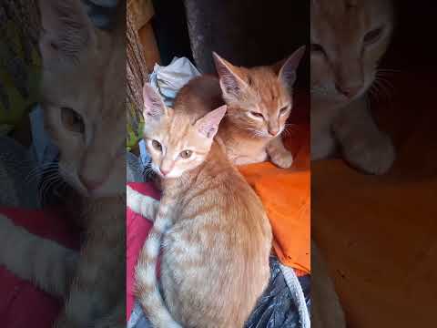 حافظ علي صحبتك