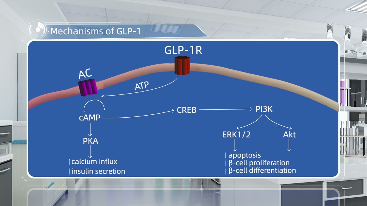 napharm glp-1 Do GLP-1 Supplements Lead to Weight Loss And Are They Safe? Doctors Weigh In