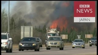 「最悪の悪夢でもこれほどには」――カナダ山火事の目撃者