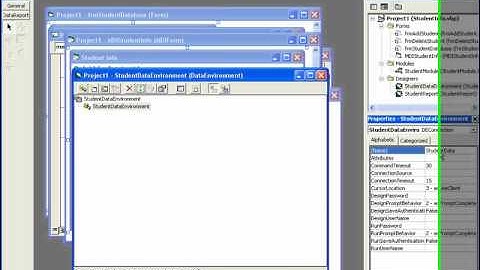 VB 6.0 Windows Programming | VB MDI Container And DataReport