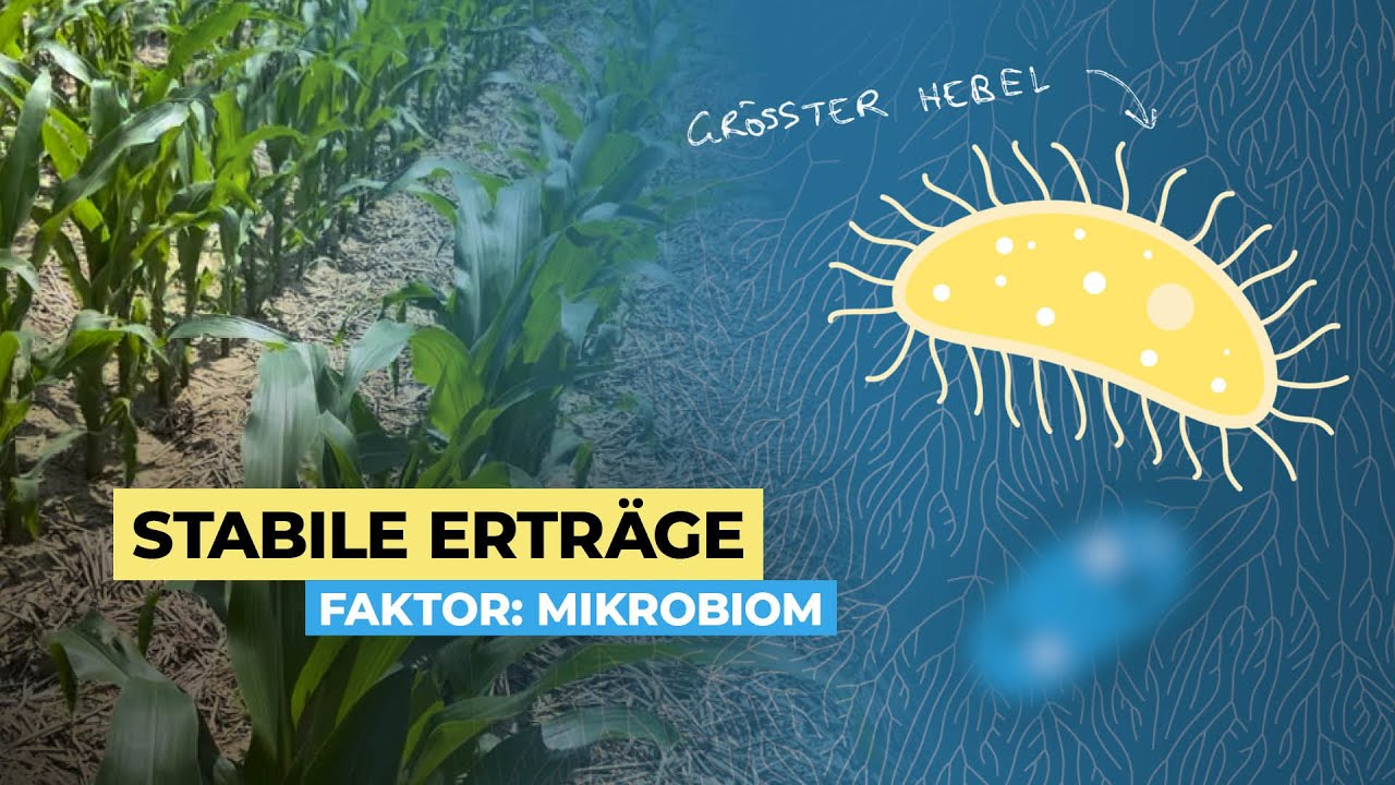 Der größte Hebel für stabile Erträge