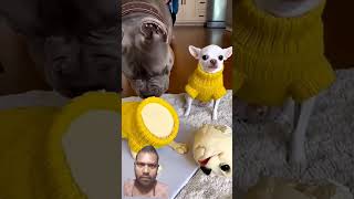 Https:youtube.com/Shorts/Om4A7Zdr0O0?Si=Iff_3Qywentyuboy
