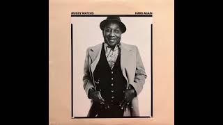 Muddy Waters – Crosseyed Cat