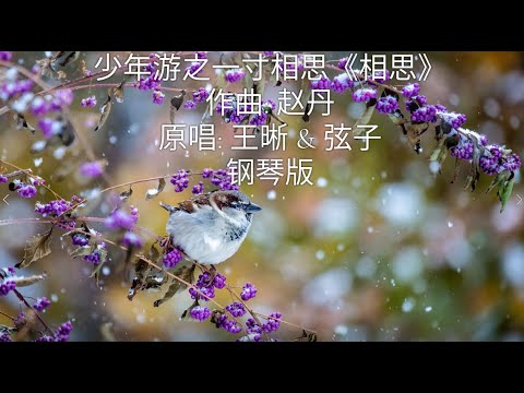 相思 (王晰 & 弦子 少年游之一寸相思片头曲) 钢琴版 - 赵丹