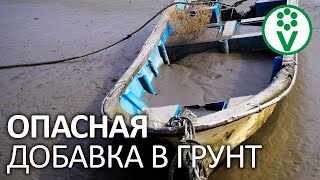 ВСЯ ПРАВДА ПРО САПРОПЕЛЬ. Можно ли использовать ил в огороде?