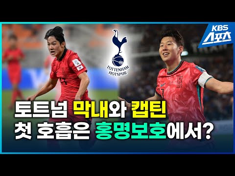 토트넘의 &amp;#39;양손&amp;#39;, 태극마크 달고 함께 뛸까?
