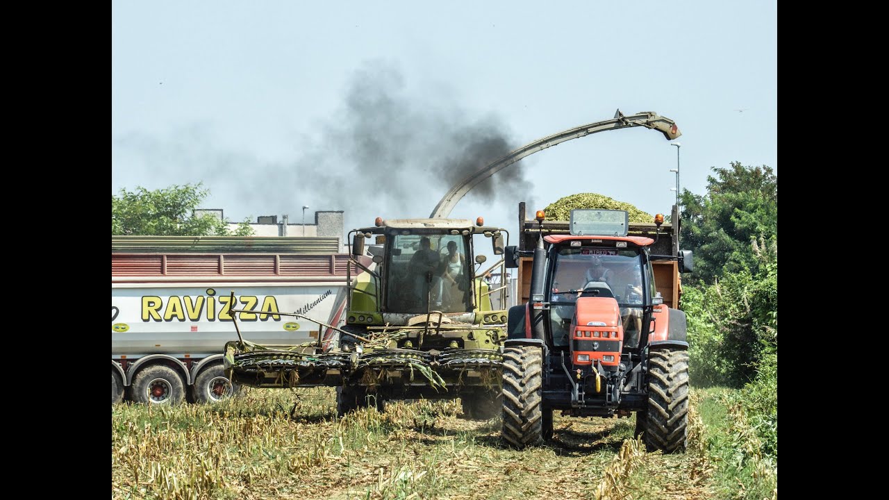 AGROMECCANICA BONZANI - CLAAS JAGUAR 970 | INSILATO MAIS 2015