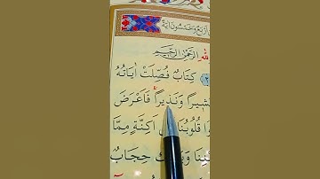 سورة فصلت الأية 1 إلى 5 القارئ سعد الغامدي