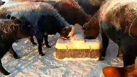 Tru Test WaterWell™ 2 in Action in Northern Michigan