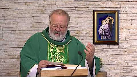 Homilie ze me svat 9.11.2022, P. Petr Huvar