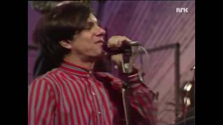 Video thumbnail of "The Fleshtones 'Screaming Skull', 'I', Interview - live 1984"