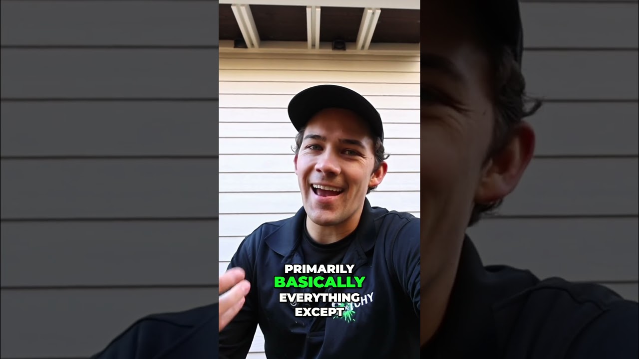 Места проникновения вредителей предотвращают проникновение грызунов до того, как они начнут свою ...