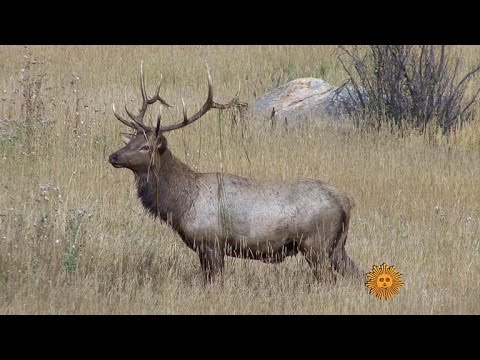 Nature Rocky Mountain National Park Youtube