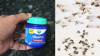 MAGIC Vicks VapoRub || Kill Mosquitos In ONE Minutes || Magic Ingredients || Super Result|| MR maker