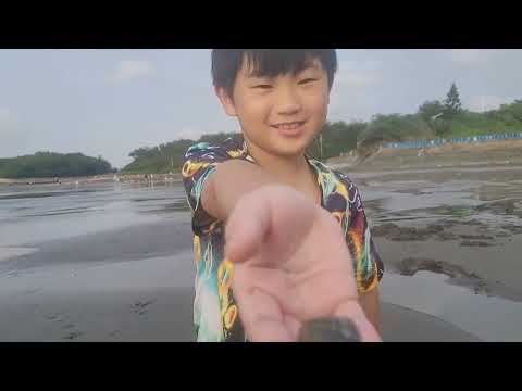 【喬治小丸子】親子挖蛤蛤20241005 #桃園永安海濱公園 #綠色隧道 #搧海風 #潮間帶 #趕海 #摸花蛤