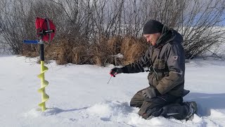 ШЛИ ЗА ОКУНЕМ, А ПОПАЛИ НА ЩУК! Малая река удивляет!