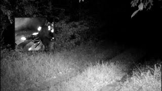 A Leopard Blews Out A Large Mirror In Passing Through