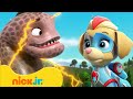 PAW Patrol | ¡Los Mighty Pups contra animales gigantes! | Nick Jr. en Español