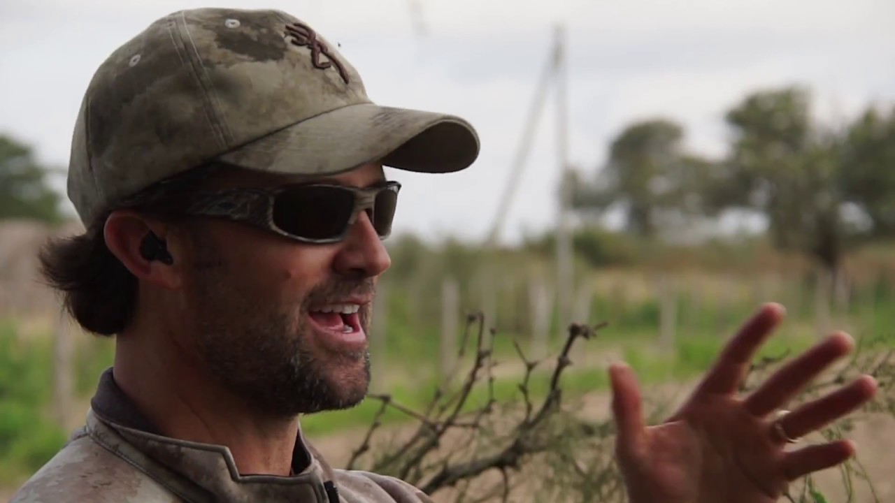 Argentina Dove Hunting | Pure Hunting S.5, Ep.508 "ARGENTINA BIRDS"