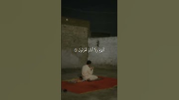 سورة الزخرف الآية (68-69) - الشيخ / محمد صديق المنشاوي .