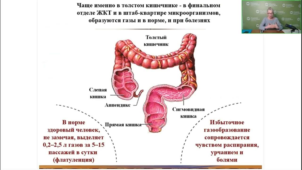 Газы в толстом кишечнике. Запор и газообразование в кишечнике. Газообразование в ободочной кишке. Скопление газов в кишечнике. Кишечник и вздутие живота.