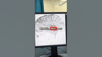 Timeline of Reflex Decline with Age