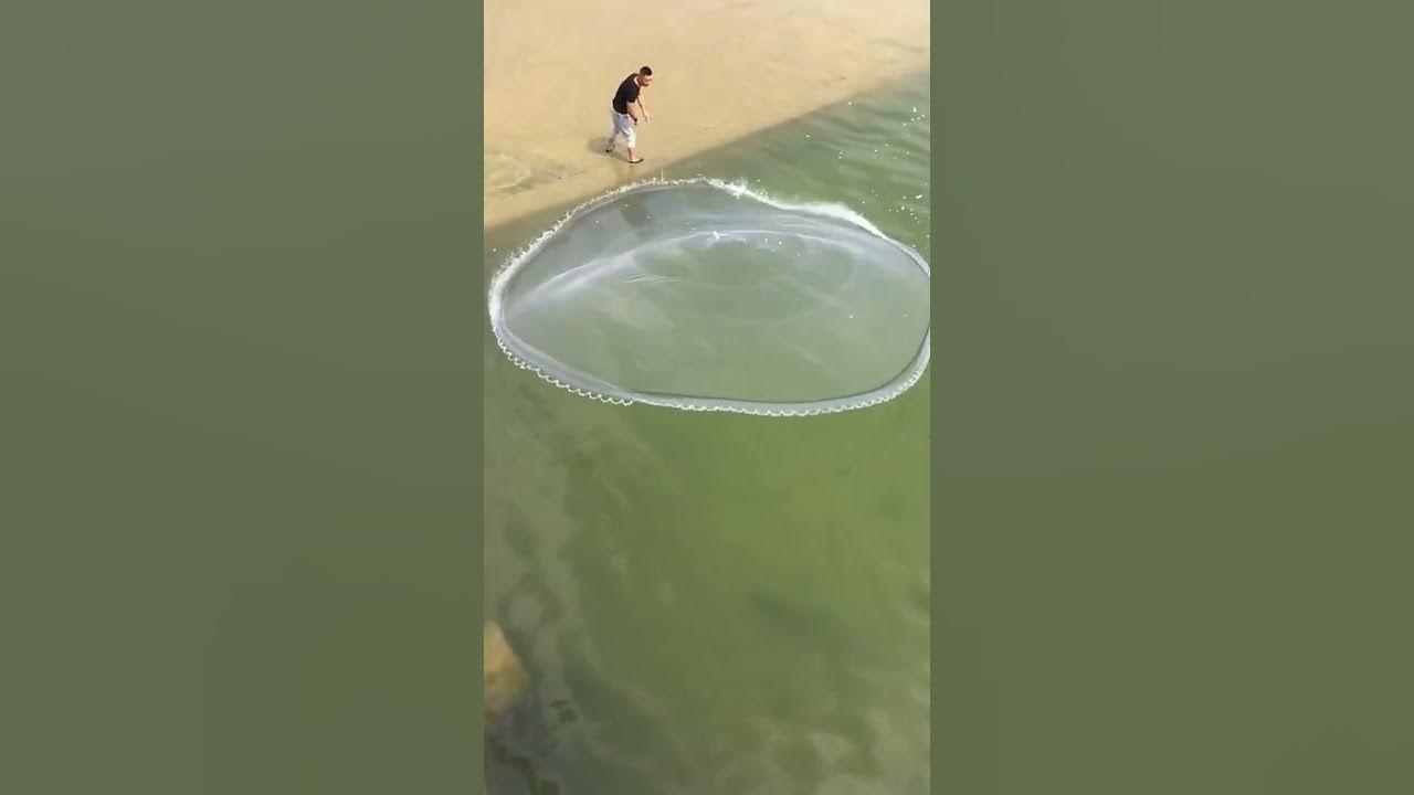 Net Making Fishing Net How To Make Your Own Fishing Net Net Making Fishing Net How To Make Your Own Fishing Net