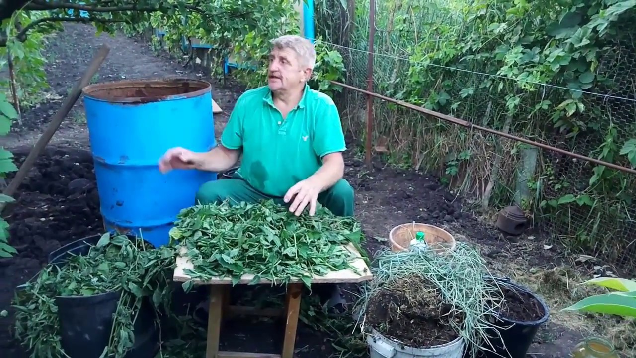 Как сделать легко усвояемое удобрение-вытяжку из травы.