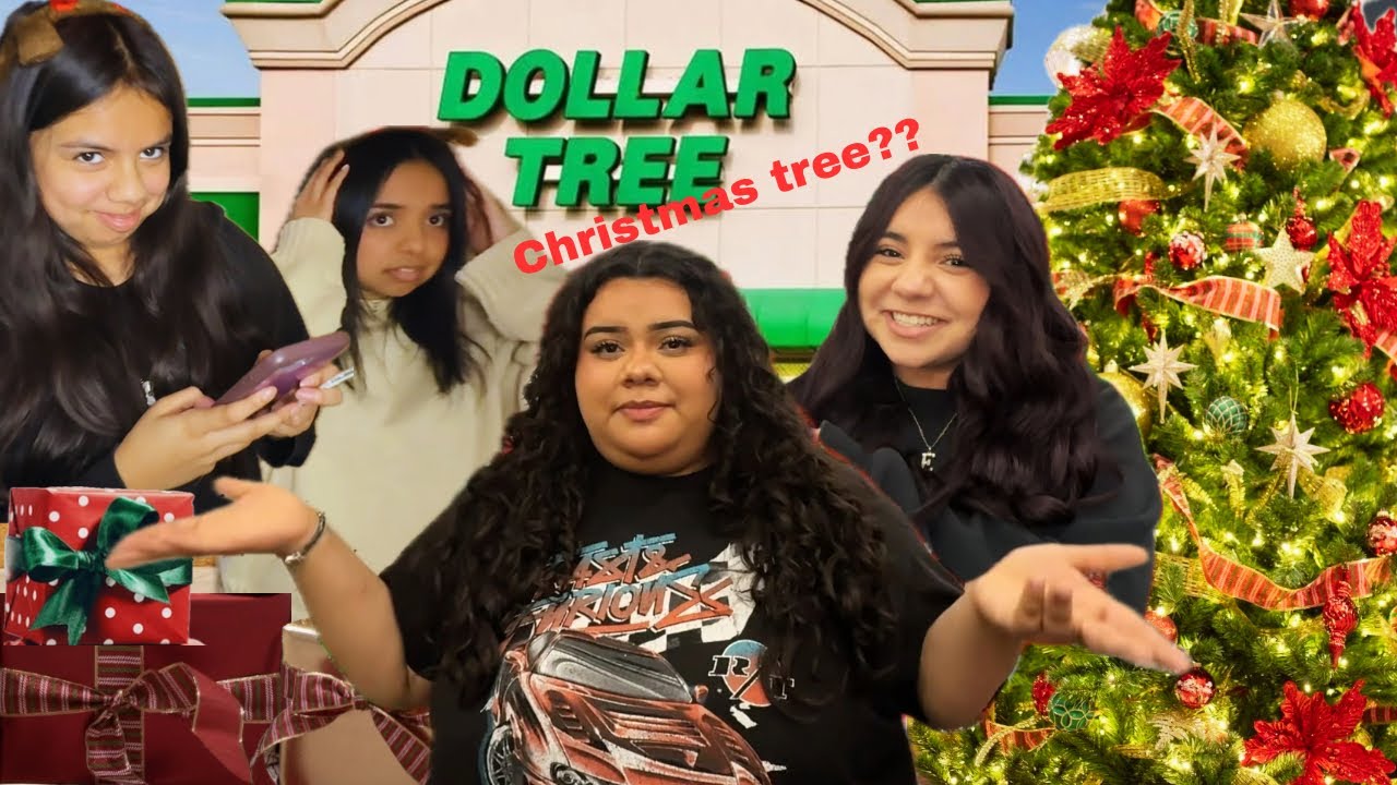 Can We Decorate Our Christmas Tree With Dollar Tree????| NC SISTERS
