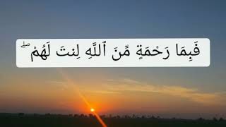 Surat al-imron ayat 159 beserta artinya