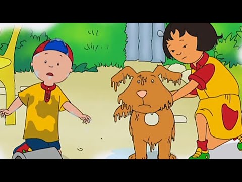 Laver le chien de Sarah | Caillou en Français