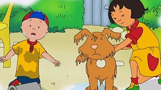 Laver le chien de Sarah | Caillou en Français