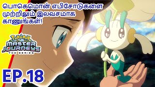 Pokémon Master Journeys எபிசோட் 18 | இருளுக்குள் ஒரு வண்ணம்! | Pokémon Asia Official (Tamil)