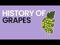 History of Grapes - What Am I Even Eating?!
