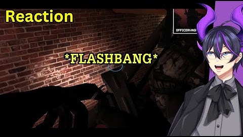 "Random Ready or Not/SWAT 4 Bullsh*ttery" | Kip reageert op SovietWomble