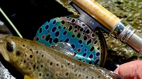 The Ultimate Creek Rod; Winston Pure 6’6’’, 3wt