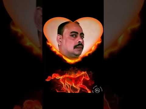 الغراب والنسر انا عايزك يا ابني تكون زي النسر بيجي الغراب يركب على ظهر النسر النسر ما بينزلش لمستوى