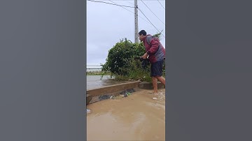 Remove Garbage Clogged Sewer Drain and Rain storm Flooding#real #shorts #cleaning #unclog