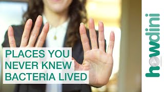 Facts About Bacteria: Top 5 Places You Never Knew Germs Lived
